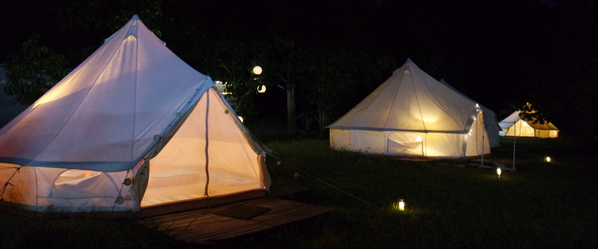 canopitribeskotatinggi